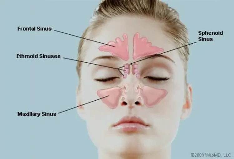 Lymphatic Drainage Massage and sinuses