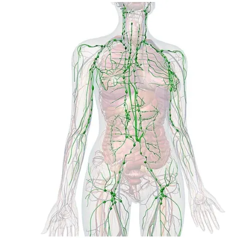 Post-Op MLD Massage After BBL & Liposuction: Your Complete Recovery Guide